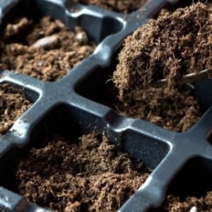 Someone-scooping-starting-metrial-into-small-compartments-of-seed-tray-320x420